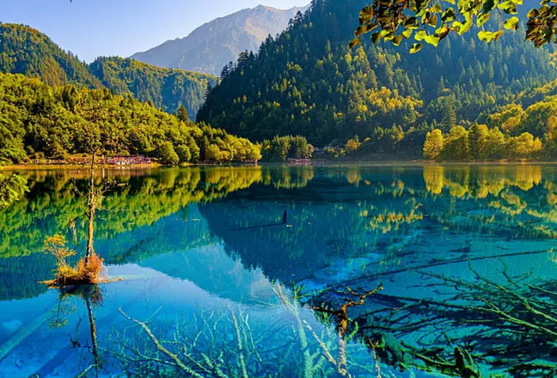 The Ultimate Sichuan Travel Guide 2026: Pandas, Hidden Mountains, Ancient Towns & Authentic China Experiences