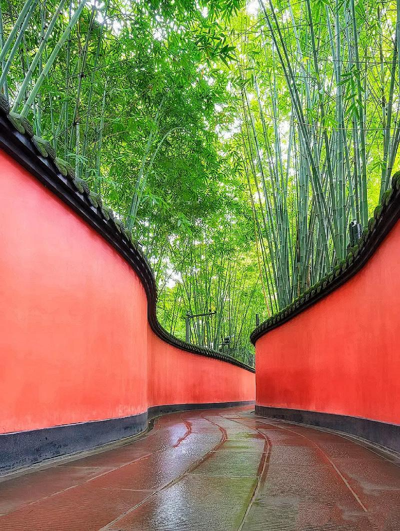 Chengdu Medical Aesthetics Travel Guide: Combine World-Class Cosmetic Treatments with Panda Encounters, Tea Houses, and Sichuan Culture
