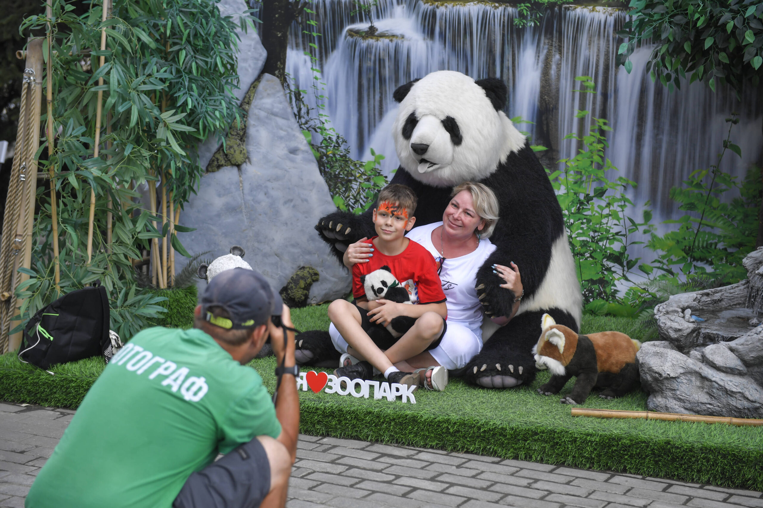 Panda Travel in Sichuan: A Complete Guide to Seeing Giant Pandas in China’s Wildest Landscapes